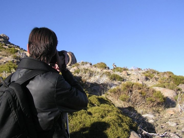  orientation and photography 